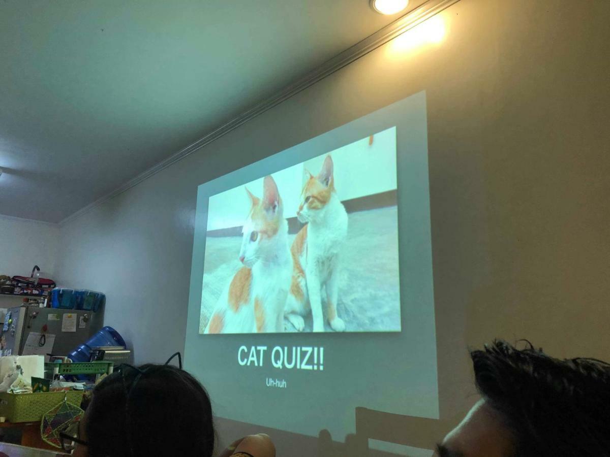 Hostel Cat Japanese Only At Uh Huh House Cebu Exteriér fotografie